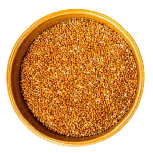 Organic Proso Millet