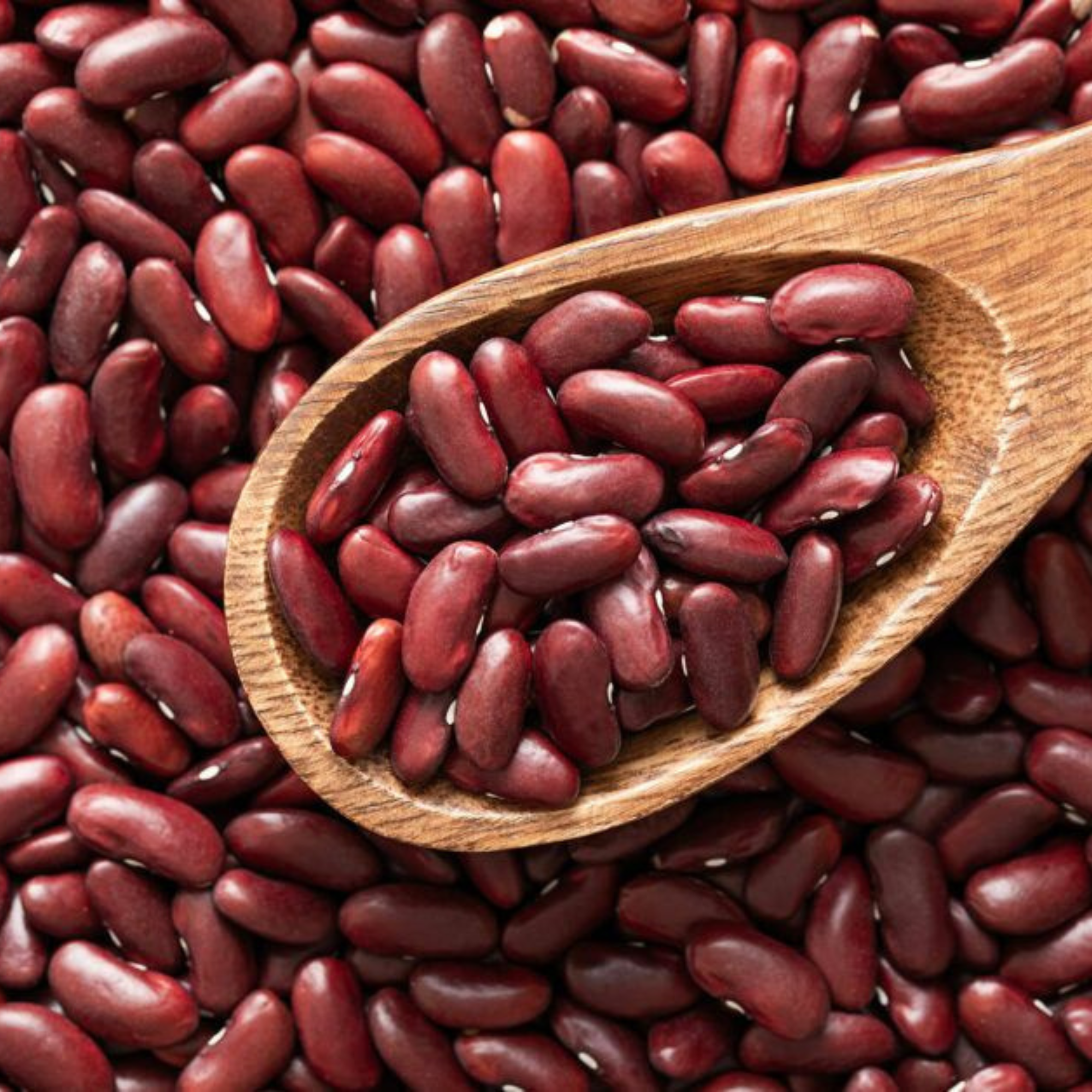 Organic Rajma Red