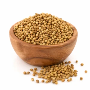 Organic coriander dhaniya