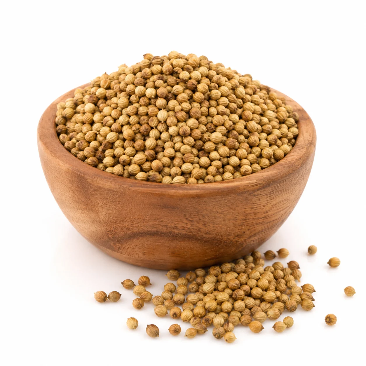 Organic coriander dhaniya