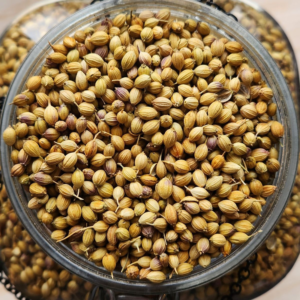 Organic coriander/dhaniya