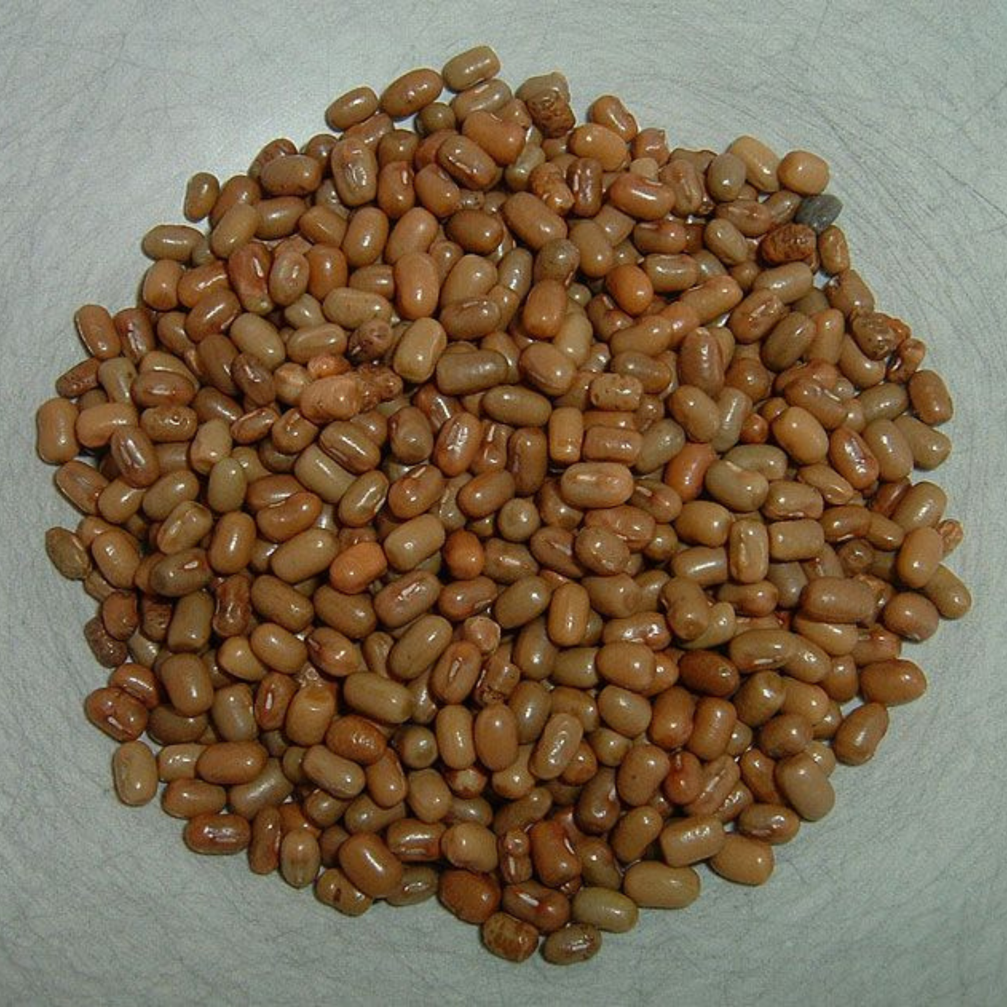 Organic Matki / Moth Bean / Haricot Beans