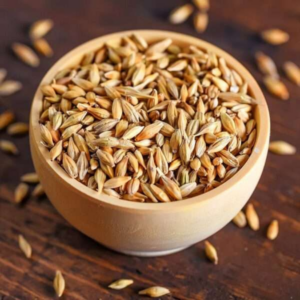 Organic Barley / Jau