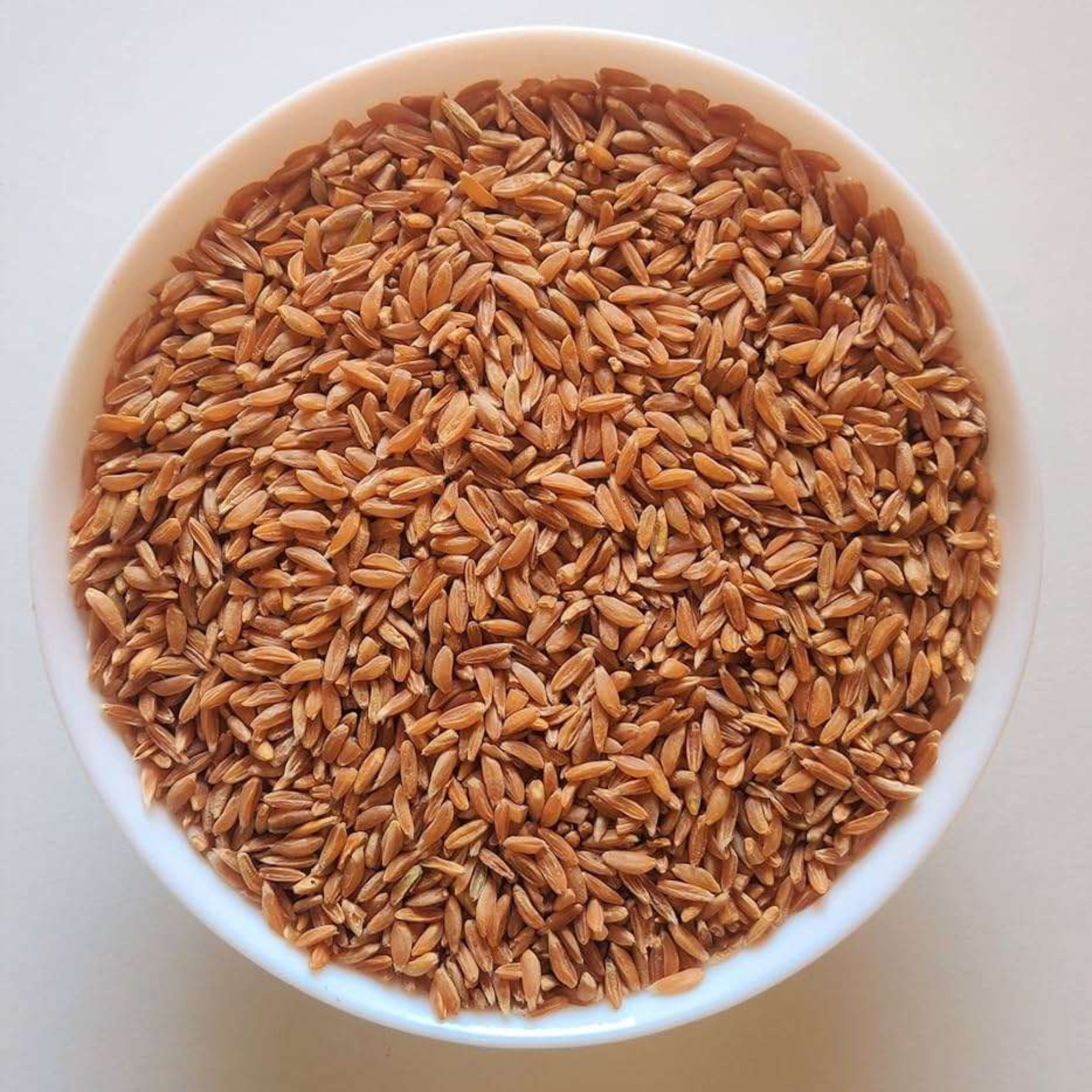 Organic Wheat Khapli (Emmer)