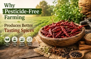Why Pesticide-Free Farming Produces Better Tasting Spices