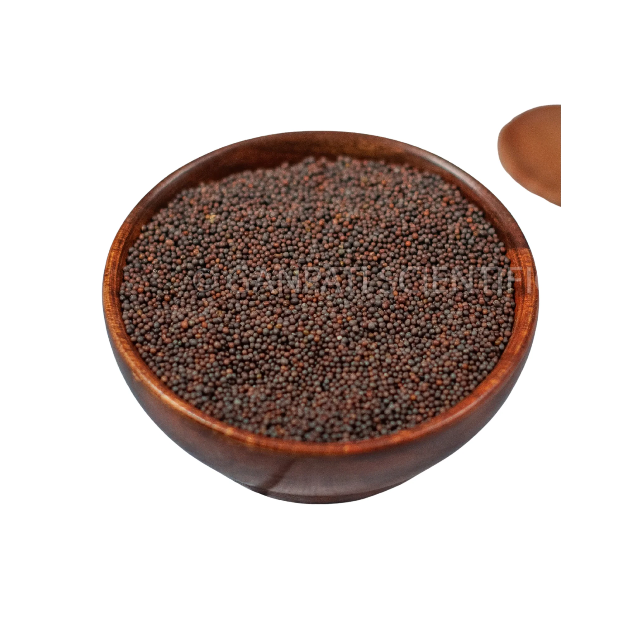 Organic Black Mustard Seed