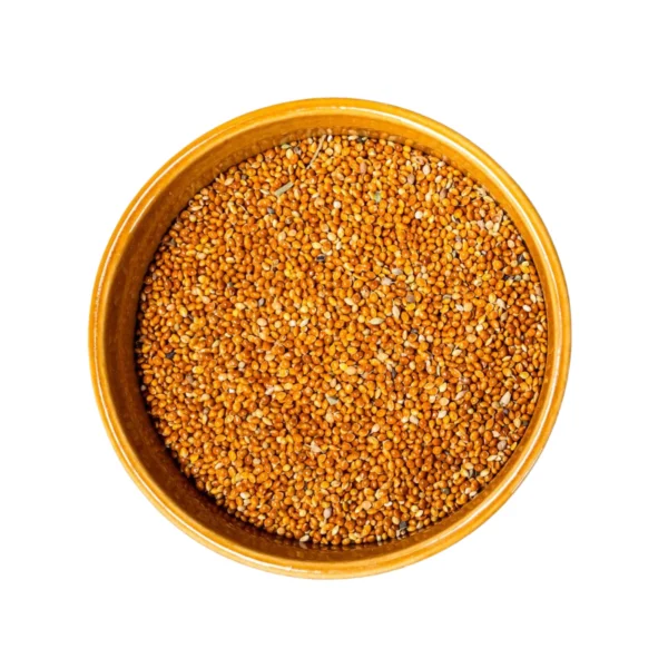 Organic Proso Millet