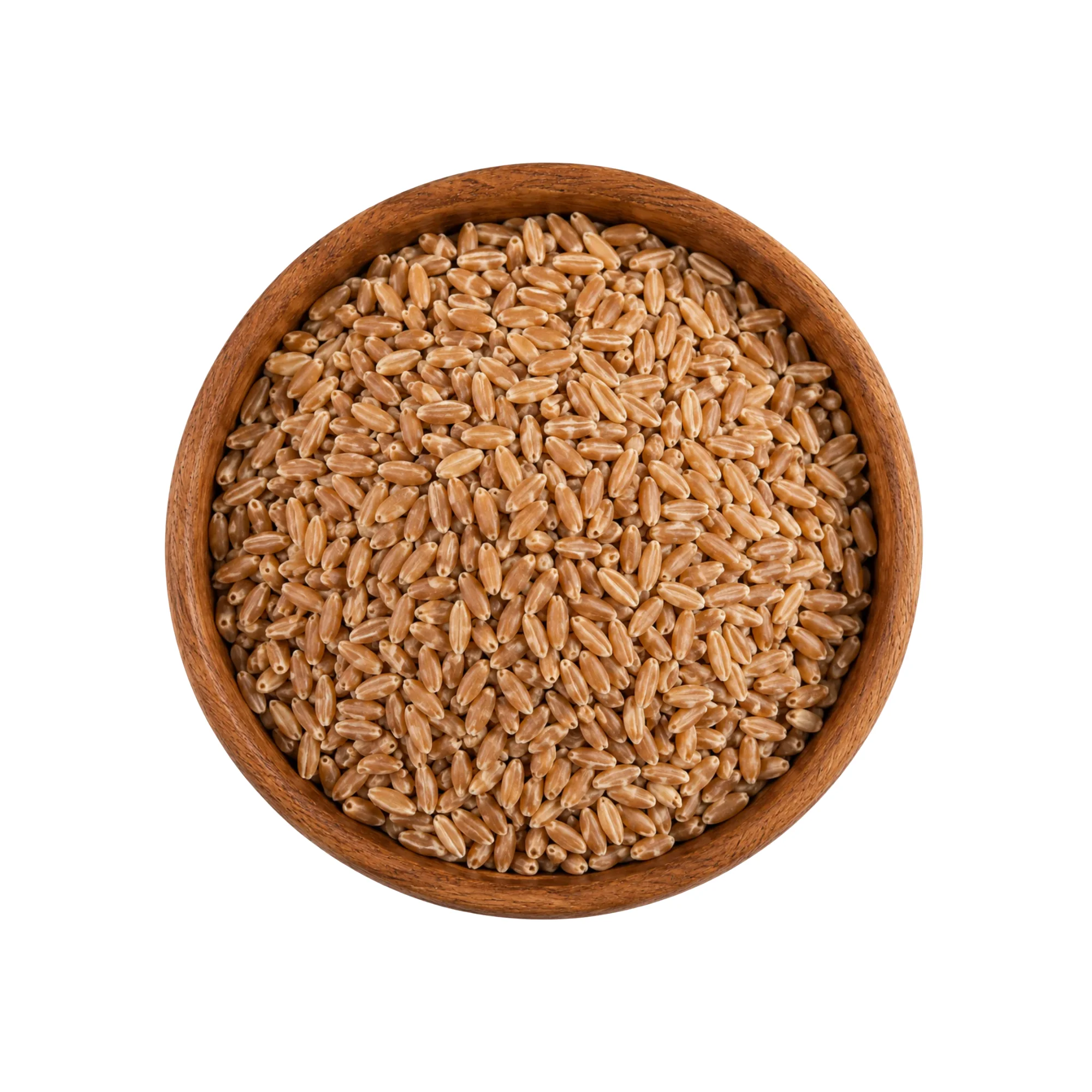 Organic Wheat Khapli (Emmer)