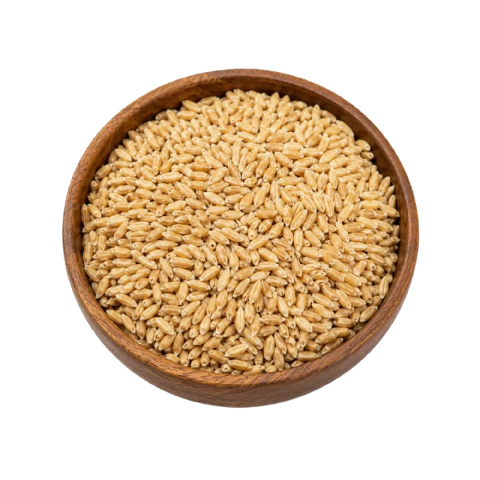 Organic Wheat Sharbati