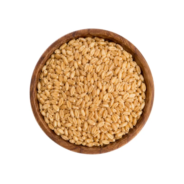 Organic Wheat Whole Grain