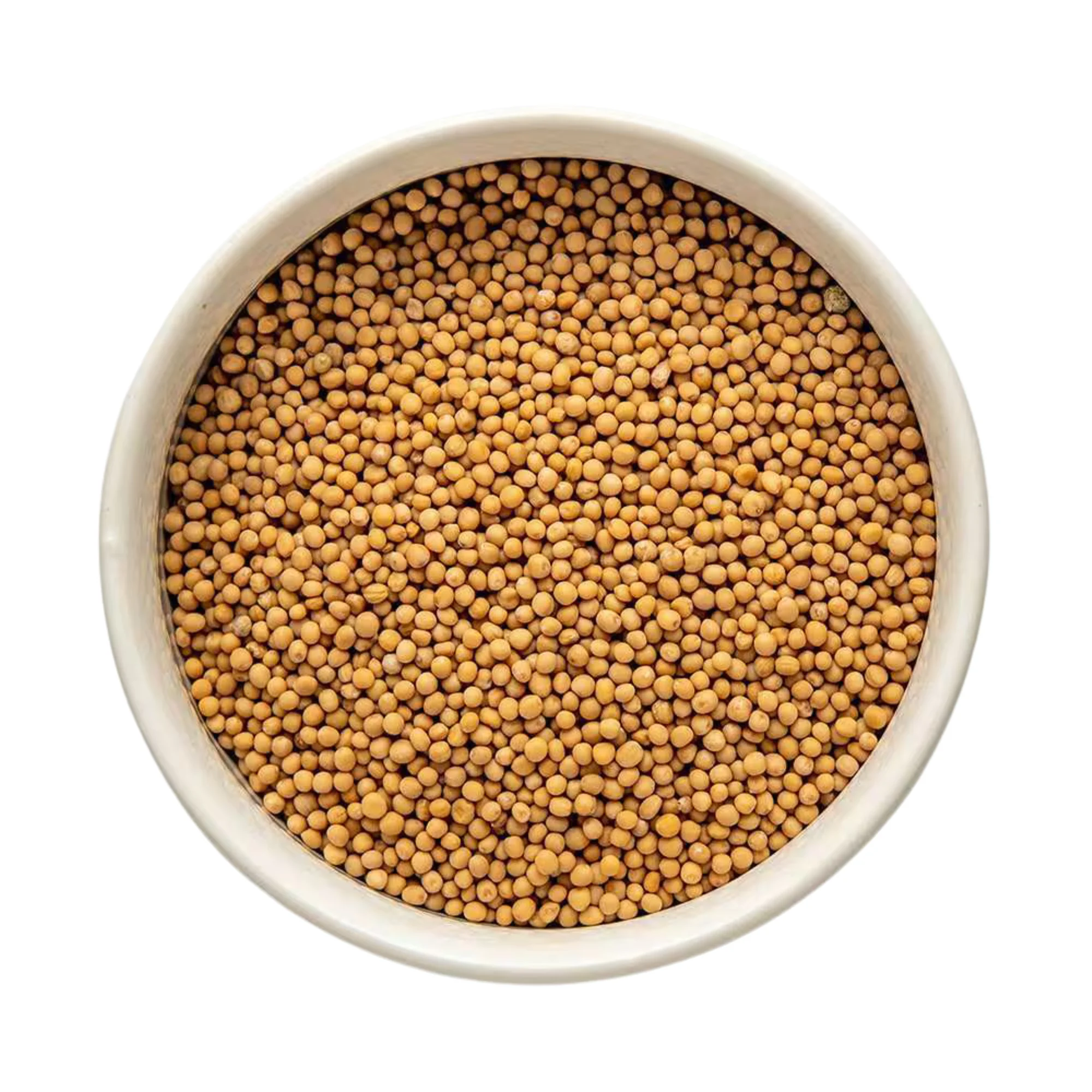 Organic Yellow Mustard Seed