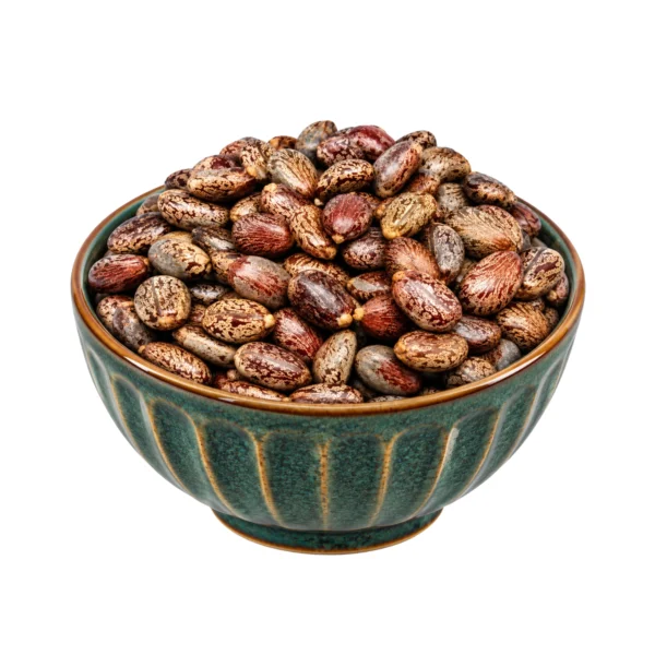 Organic Castor Seed