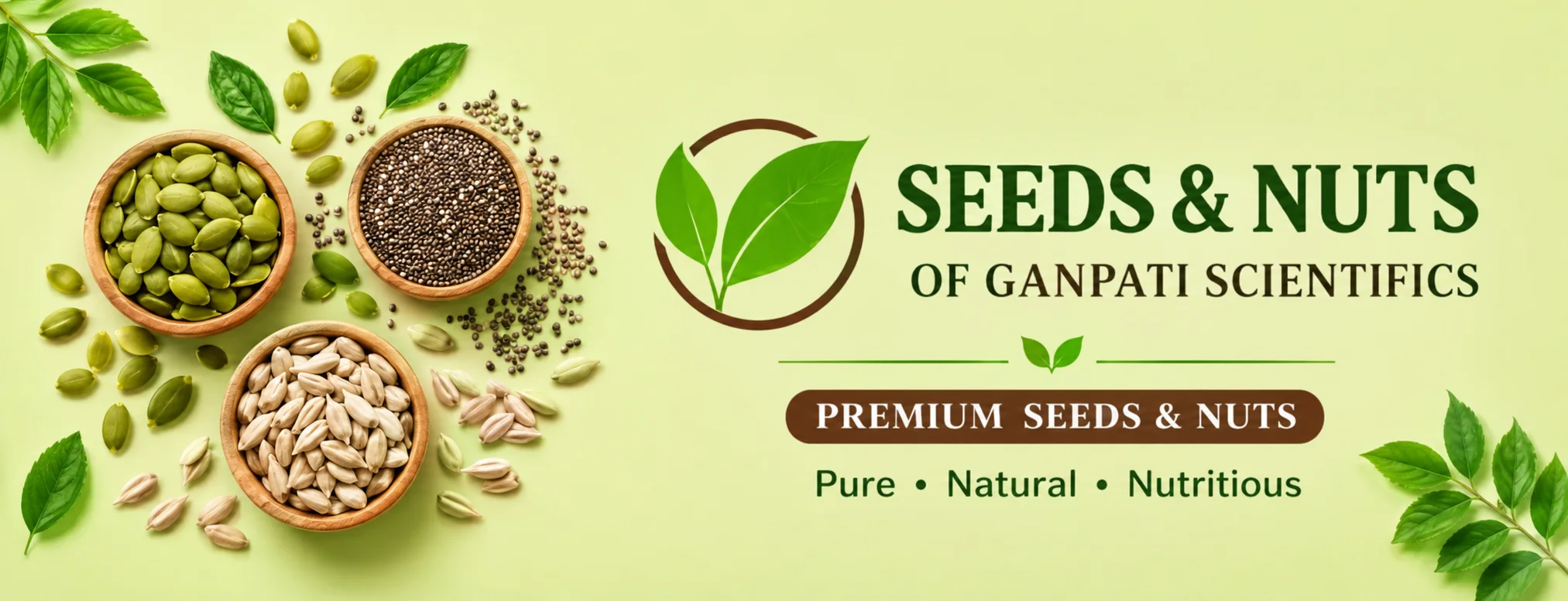 Organic nuts banner