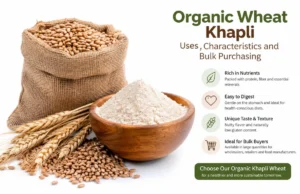 Organic Wheat Khapli